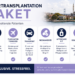 Infografik zu Haartransplantationspaketen mit einer Übersicht über All-inclusive-Leistungen in der Türkei, einschließlich Eingriff, Hotelunterkunft, Flughafentransfers, VIP-Transport, Medikamente, Nachsorge, Dolmetscherservice und Verlaufskontrollen.